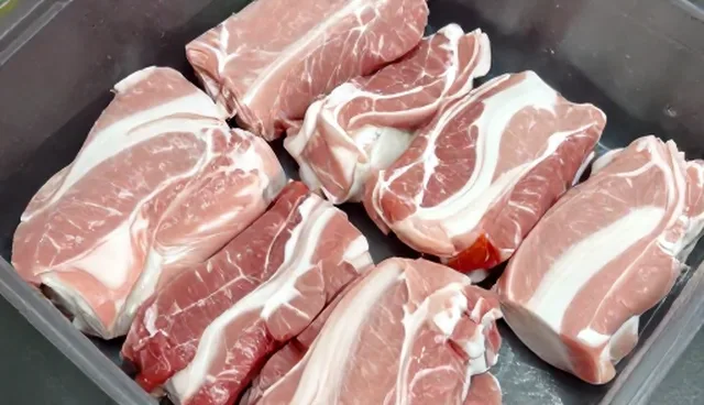 食材供应性能如何影响团队协作效率?