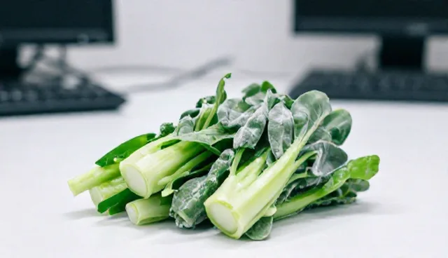 团队如何有效提升速冻蔬菜生产效率?
